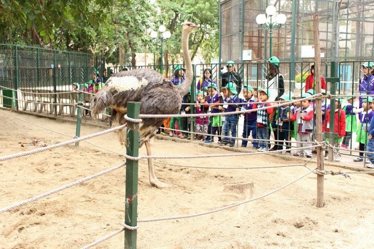 Điểm danh những khu vui chơi trẻ em hấp dẫn du khách tại Hà Nội