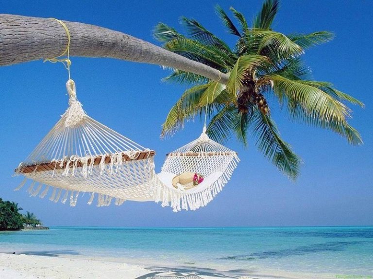 Bí kíp khám phá Đảo Ngọc từ A-Z không thể bỏ qua Bí kíp khám phá Đảo Ngọc từ A-Z không thể bỏ qua
