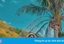 4 điểm check-in hút khách tại Côn Đảo