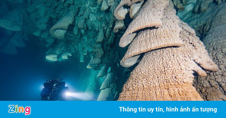Chuông địa ngục trong hang động dưới nước Chuông địa ngục trong hang động dưới nước