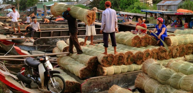 Ngỡ ngàng làng chiếu trăm năm được UNESCO vinh danh - 3