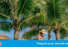 Nghỉ dưỡng dưới 1 triệu đồng/đêm ở Phú Quốc