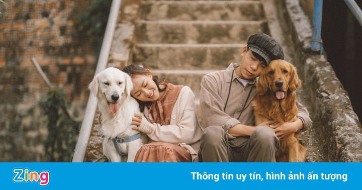 Đôi uyên ương chụp ảnh cưới cùng cún cưng ở Đà Lạt Đôi uyên ương chụp ảnh cưới cùng cún cưng ở Đà Lạt