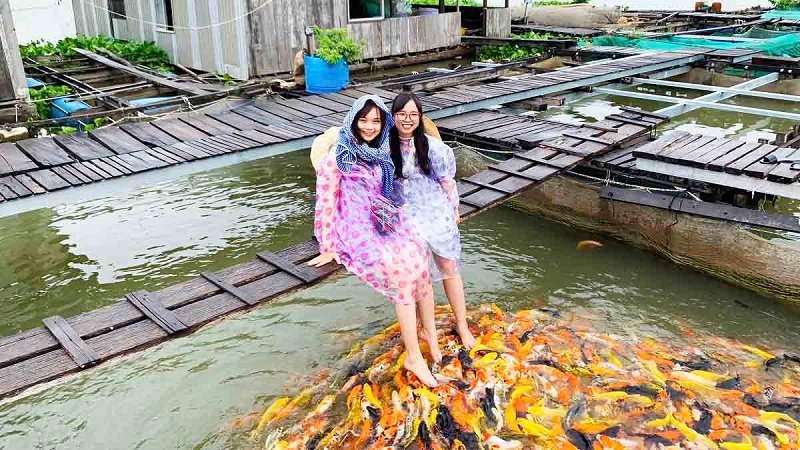 dao-con-son đảo cồn sơn