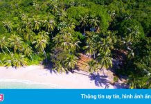 8 vườn quốc gia ấn tượng nhất Việt Nam