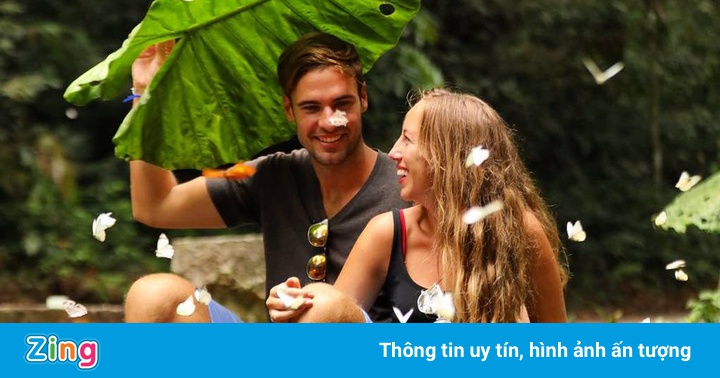 Những vườn quốc gia ở Việt Nam thuộc địa phận 3 tỉnh