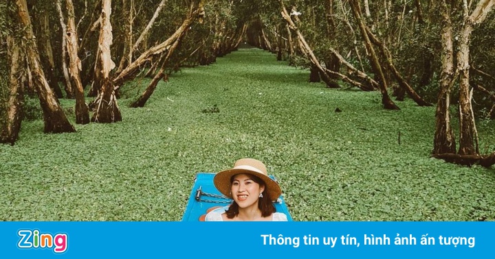 5 rừng tràm hút tín đồ xê dịch ở miền Tây 5 rừng tràm hút tín đồ xê dịch ở miền Tây