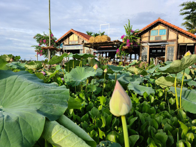 Những cửa tiệm cà phê có "view" độc đáo nhất phố cổ Hội An bạn không thể bỏ lỡ - 4