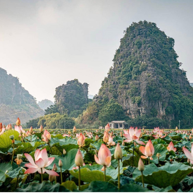 Điểm du lịch dịp nghỉ lễ gần Hà Nội: Săn bướm ở Cúc Phương, ngắm trọn đất trời ở Hang Múa - 10