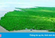 Tỉnh duy nhất của nước ta có 3 mặt giáp biển