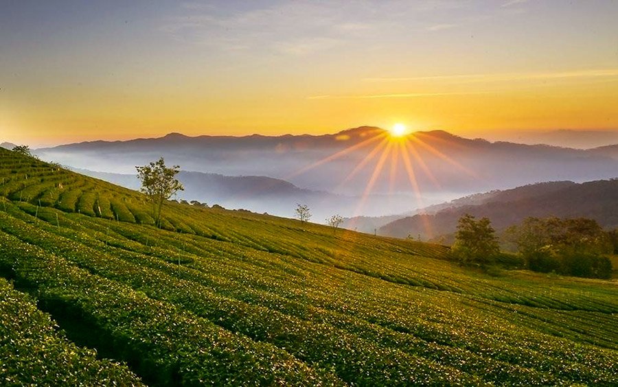 Vé Máy Bay Hà Nội Pleiku