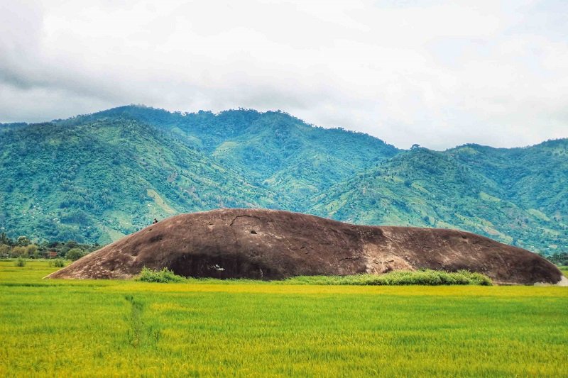 đá voi mẹ