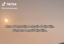 Bị tố gây ồn trên xe khách, Mèo Sao Hỏa có phản ứng gây bất ngờ nhưng lại được lòng fan! Bị tố gây ồn trên xe khách, Mèo Sao Hỏa có phản ứng gây bất ngờ - Ảnh 1.