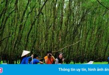 Cù lao du lịch sinh thái ở Sóc Trăng sắp có nước sạch