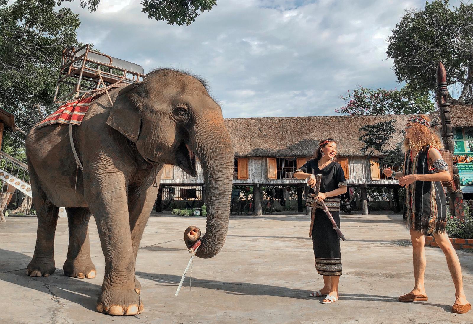 Vé Máy Bay Hà Nội Buôn Ma Thuột