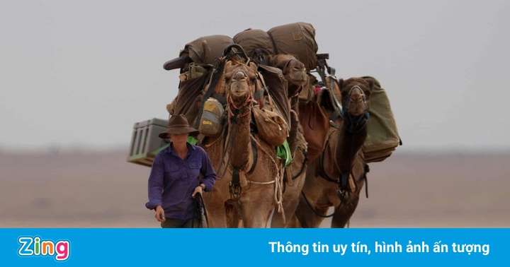 Cô gái bỏ việc để đi bộ 5.000 km cùng lạc đà Cô gái bỏ việc để đi bộ 5.000 km cùng lạc đà