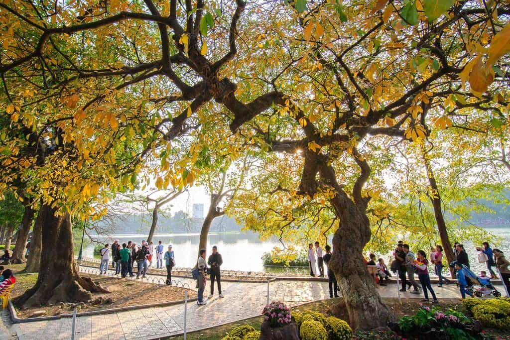 vé máy bay Nha Trang Hà Nội