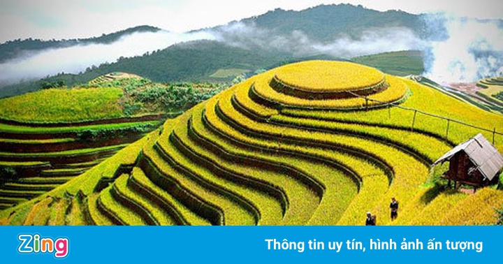 Ruộng bậc thang duy nhất là Di tích quốc gia đặc biệt của Việt Nam Ruộng bậc thang duy nhất là Di tích quốc gia đặc biệt của Việt Nam