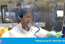 Các nhà khoa học bị ‘tế thần’ vì Covid-19