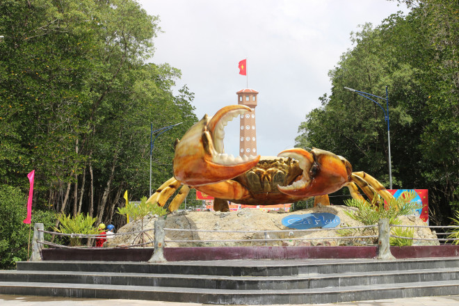 Trải nghiệm thú vị ở rừng ngập mặn lớn nhất Việt Nam Trải nghiệm thú vị ở rừng ngập mặn lớn nhất Việt Nam