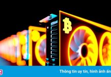 Ai hưởng lợi từ cú ngã của Bitcoin?