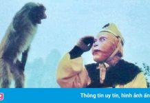 Tôn Ngộ Không qua góc nhìn của Lục Tiểu Linh Đồng