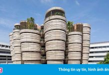 6 đại học trẻ tốt nhất thế giới năm 2021