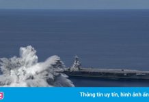 Các thử nghiệm va đập của Hải quân Mỹ gây hại cho động vật biển