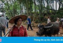 Người Trung Quốc đổ xô đi chụp ảnh nông thôn