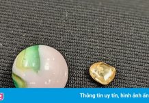 Nhặt được viên kim cương lớn hiếm thấy trong công viên