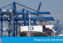 Doanh nghiệp lo lắng việc TP.HCM sắp thu phí cảng biển