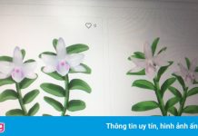 Rao bán lan đột biến ‘ảo’ trên mạng