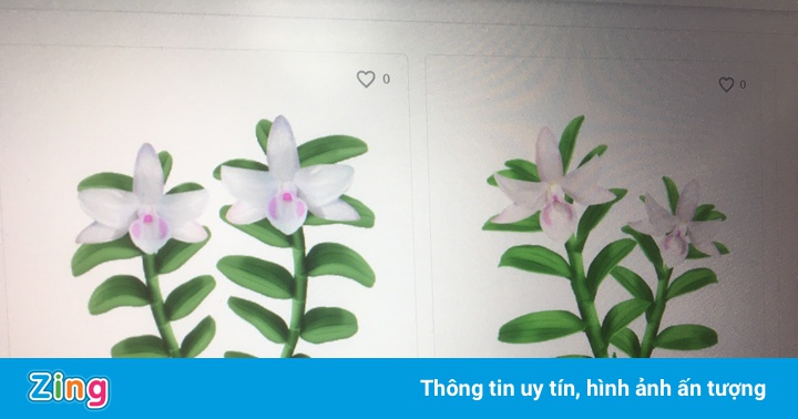 Rao bán lan đột biến ‘ảo’ trên mạng