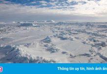 Phát hiện mới về người đầu tiên tìm ra Nam Cực