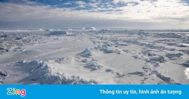 Phát hiện mới về người đầu tiên tìm ra Nam Cực Phát hiện mới về người đầu tiên tìm ra Nam Cực