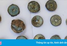 770 kg đồng xu thời Nguyễn dưới biển Quảng Bình