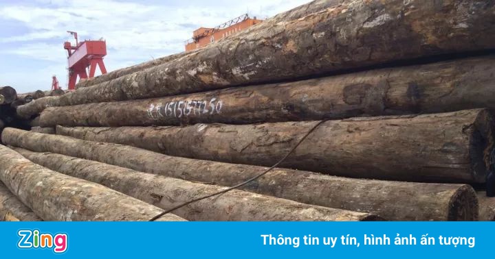 Trung Quốc thu lợi lớn từ gỗ lậu?