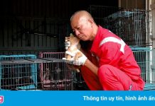 Sư thầy Trung Quốc giải cứu 8.000 con chó vô chủ