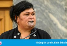 Đại sứ Dobson: Ngoại trưởng New Zealand mong muốn sớm thăm Việt Nam