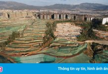 Bất động sản tăng nóng, một ngọn núi ở Trung Quốc bị bê tông hóa