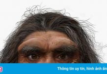 Phát hiện thêm họ hàng mới của loài người hiện đại ngoài Neanderthal