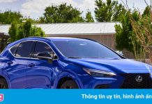 Lexus NX 2022 được ra mắt, thiết kế lột xác so với đời cũ