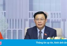 Chủ tịch Quốc hội hội đàm trực tuyến với chủ tịch Nhân đại Trung Quốc