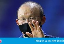 Người đại diện phủ nhận HLV Park sắp rời tuyển Việt Nam