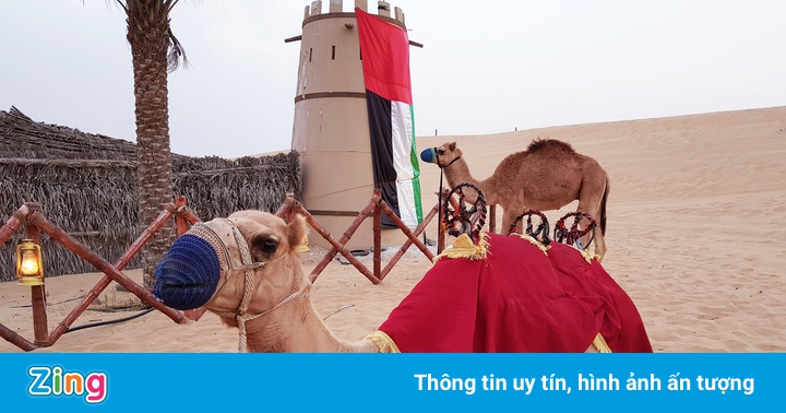 10 sự thật thú vị về UAE