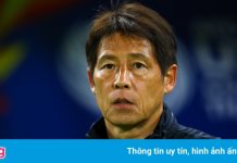 Nhà báo Australia: ‘HLV Nishino phải ra đi’