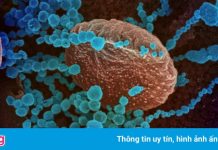 Biến chủng Delta đang lan rộng, có thể xuất hiện ‘Delta+’