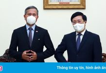 Việt Nam đề nghị Singapore tiếp tục hợp tác về tiểu vùng Mekong