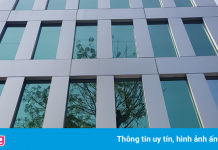 Thuduc House lại bán vốn để giải quyết 400 tỷ tiền thuế bị truy thu