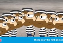 Câu đố tù nhân bật tắt bóng đèn của Google